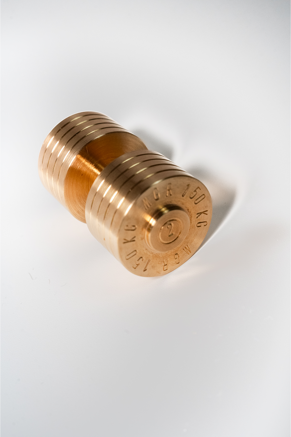 Par Mancuernas Gold´s Gym