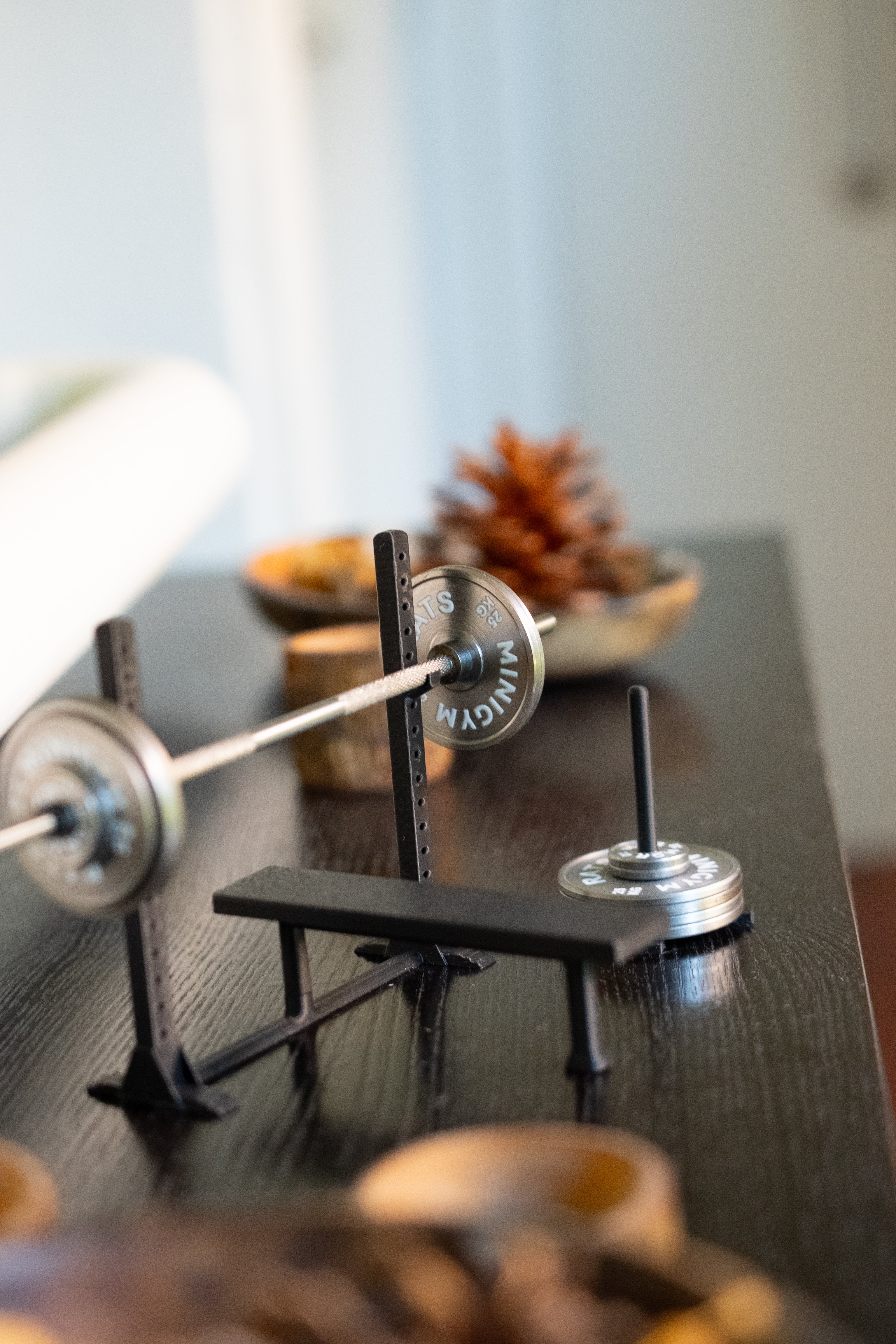 100KG PREMIUM MINI BENCH