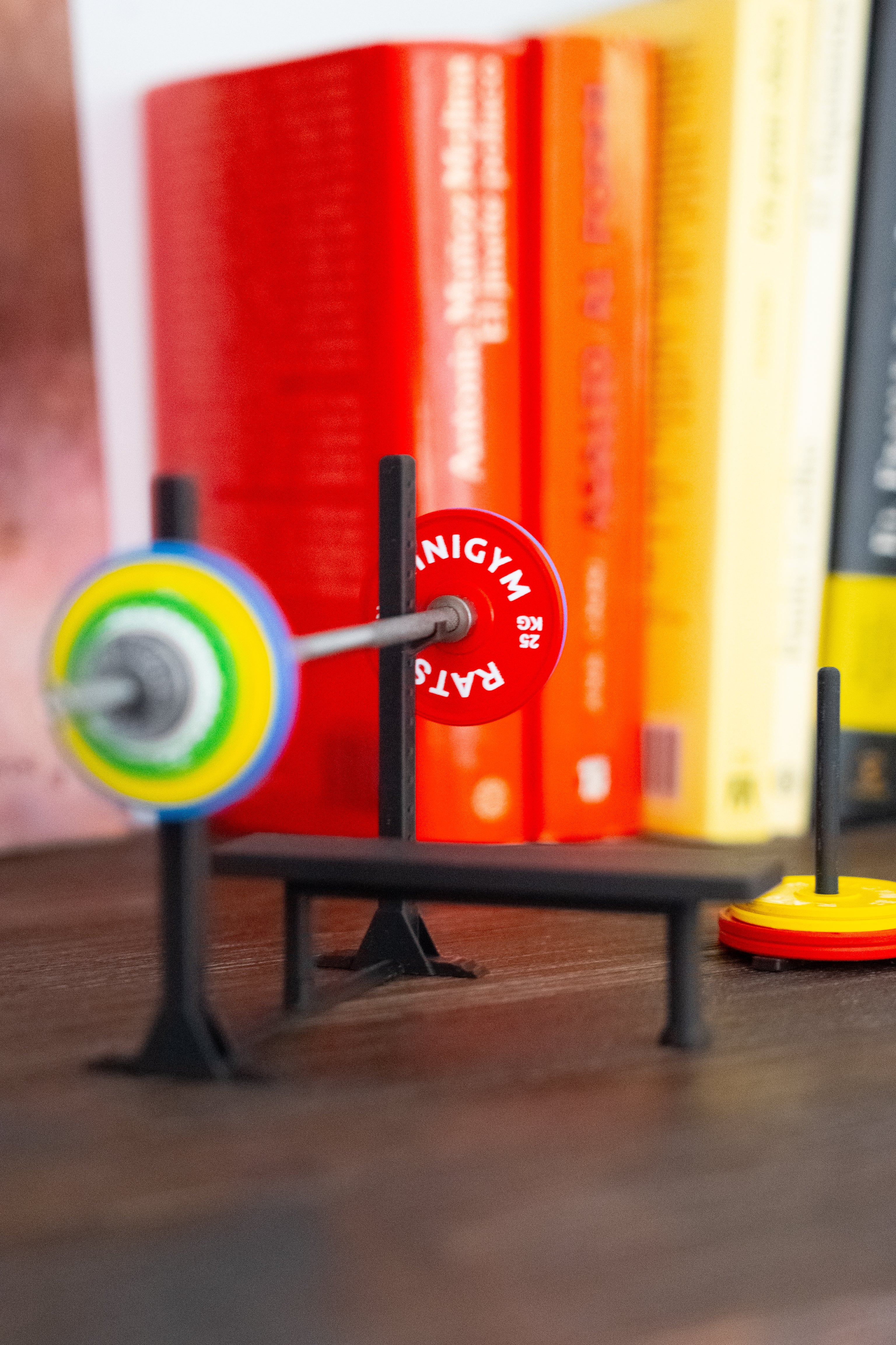 100KG PREMIUM MINI BENCH